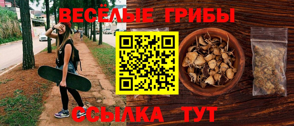 Славгород  Псилоцибиновые грибы мицелий  Псилоцибиновые грибы Magic Shrooms  Вход с VPN 