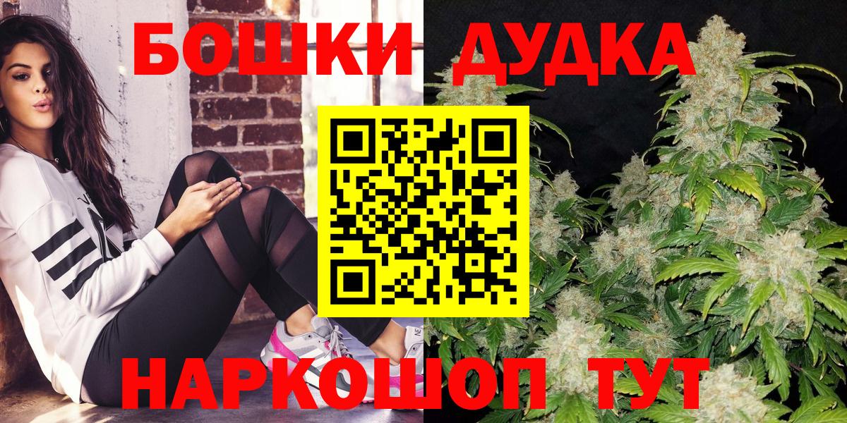 Каннабис сатива Славгород